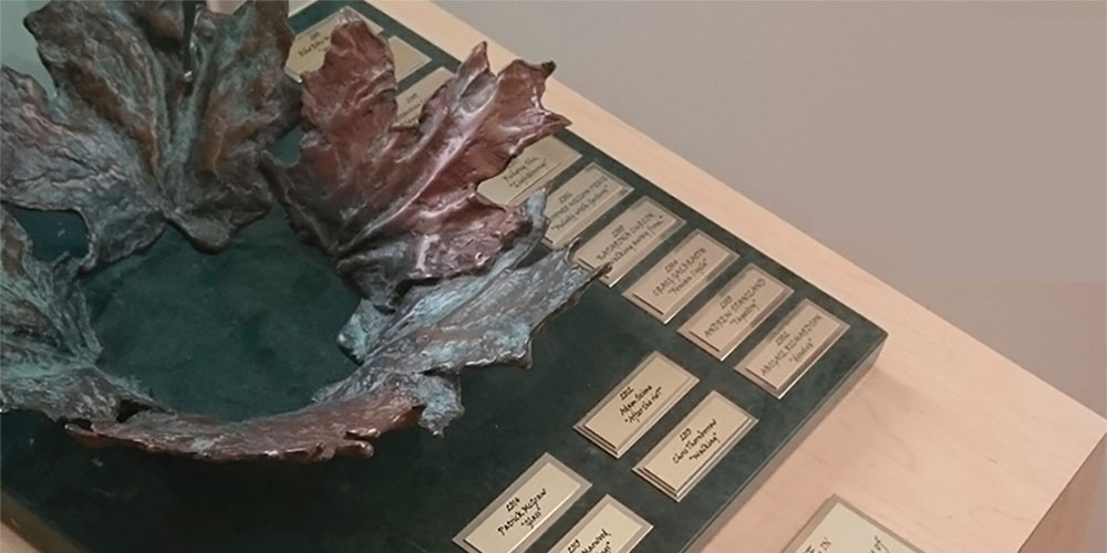 The Karen Klein Award