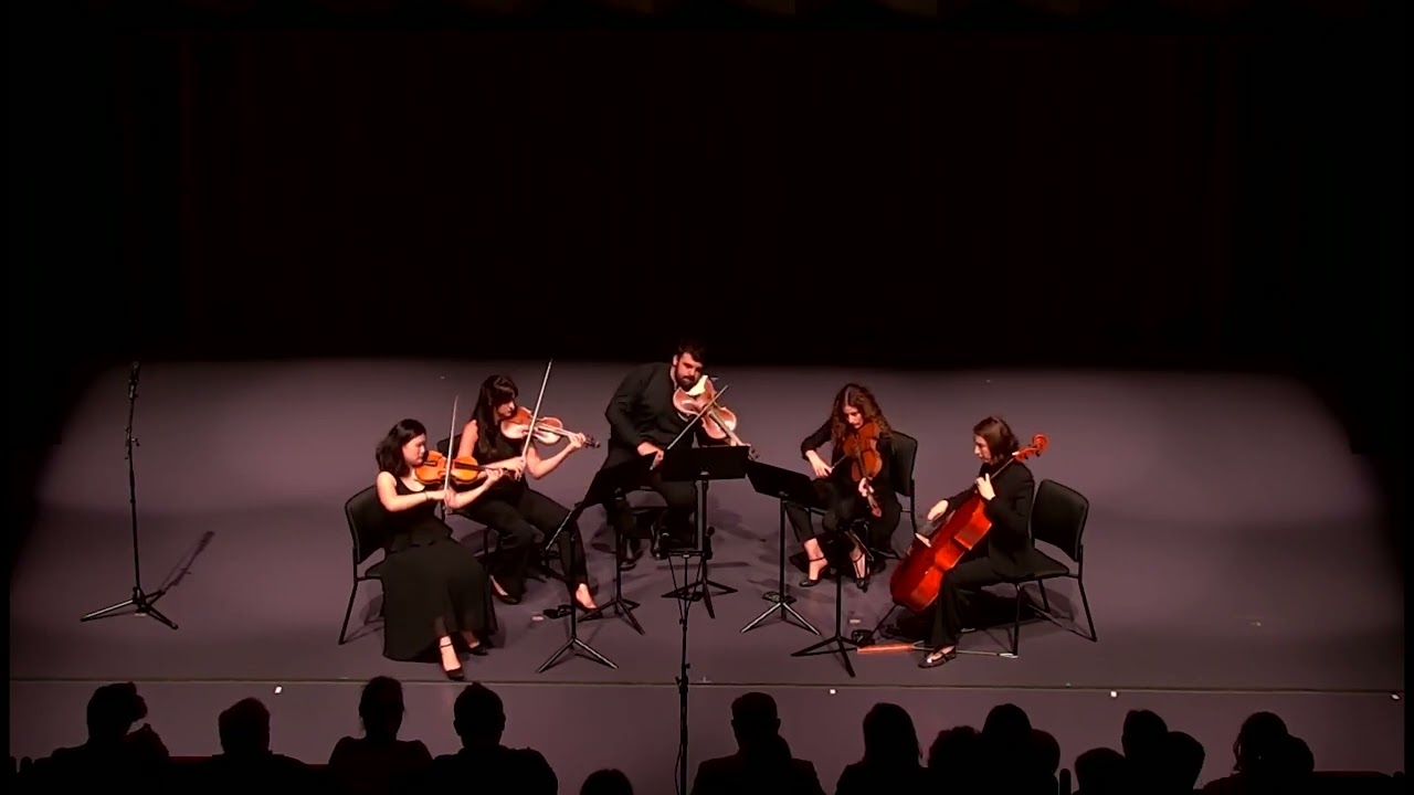 Swan Ensemble on stage